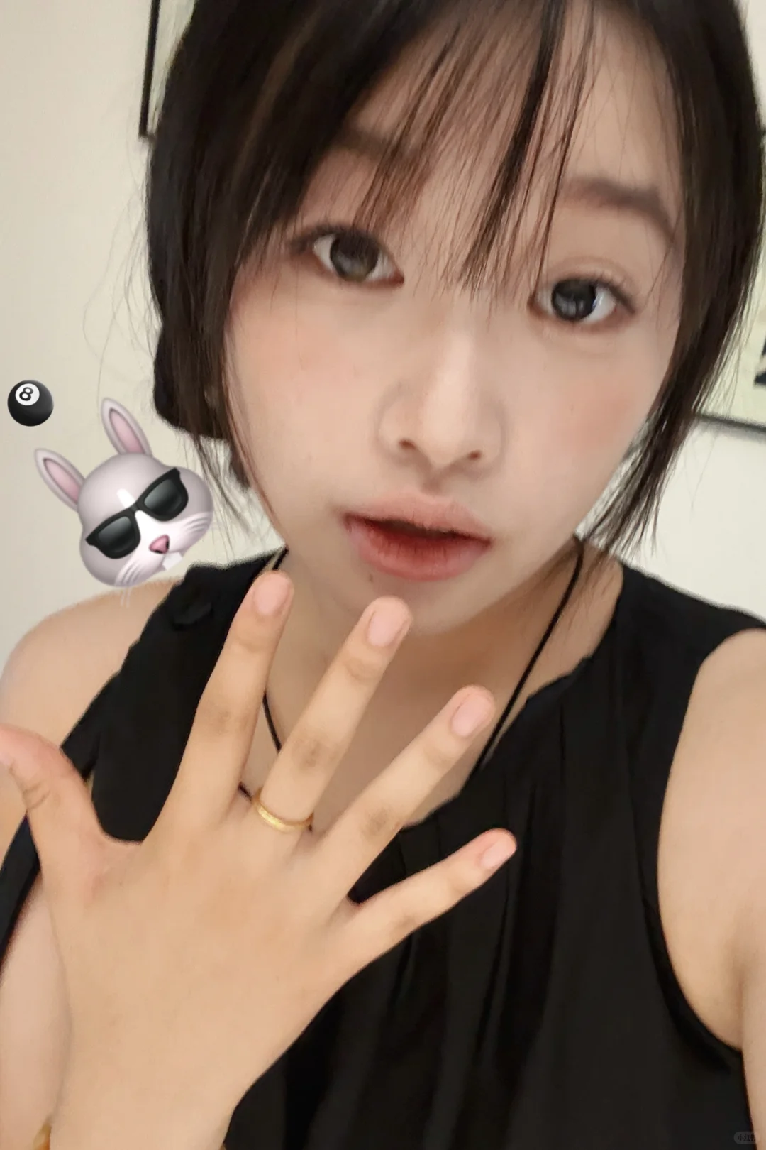 又来。。。租房我恨你