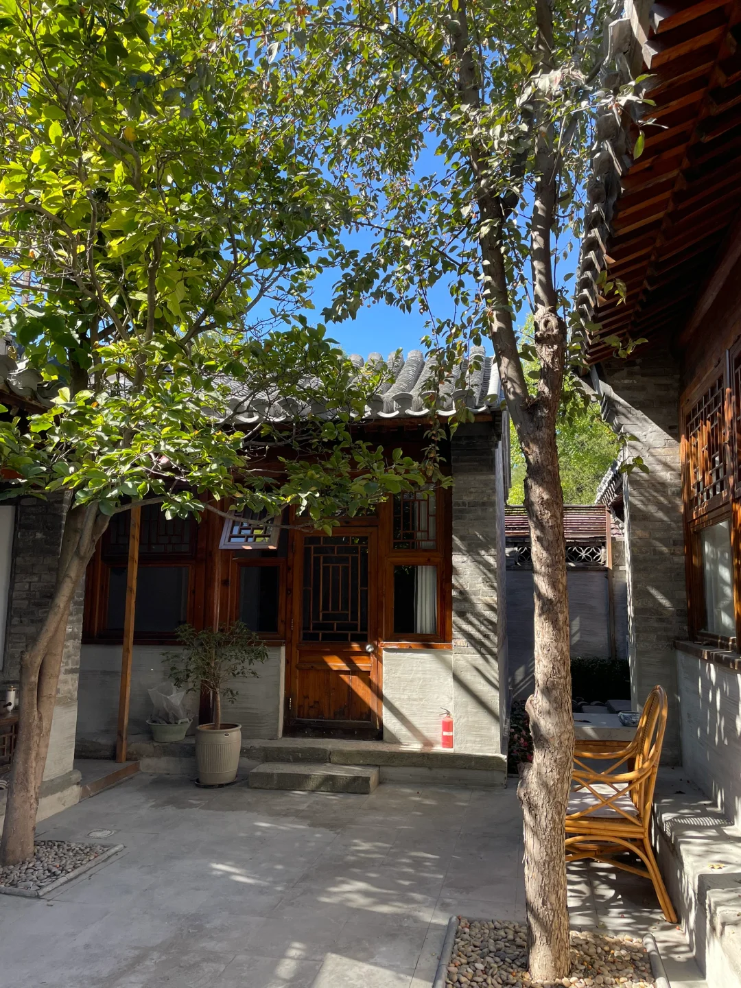 北京这样的小院，我坚信是平常人享受不了的