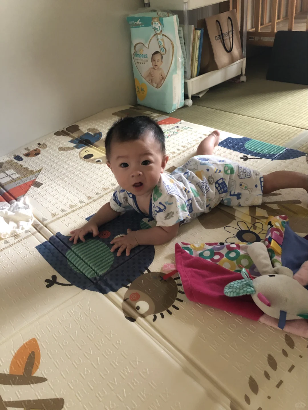 关于日本的政府福利住房