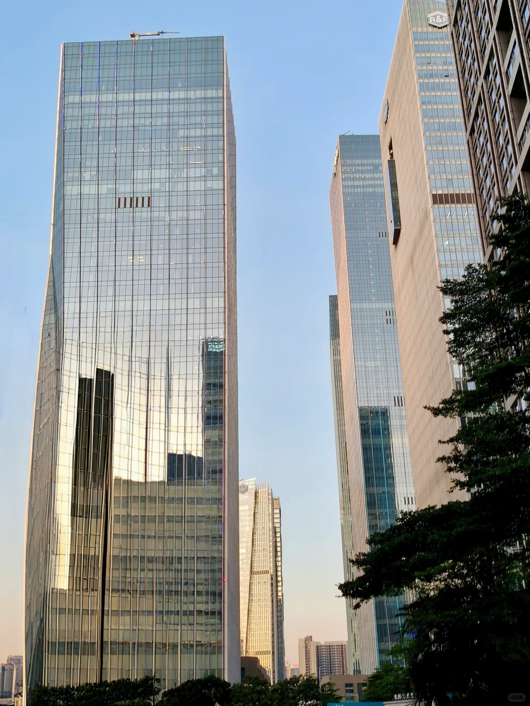 一栋楼都是这个公司？