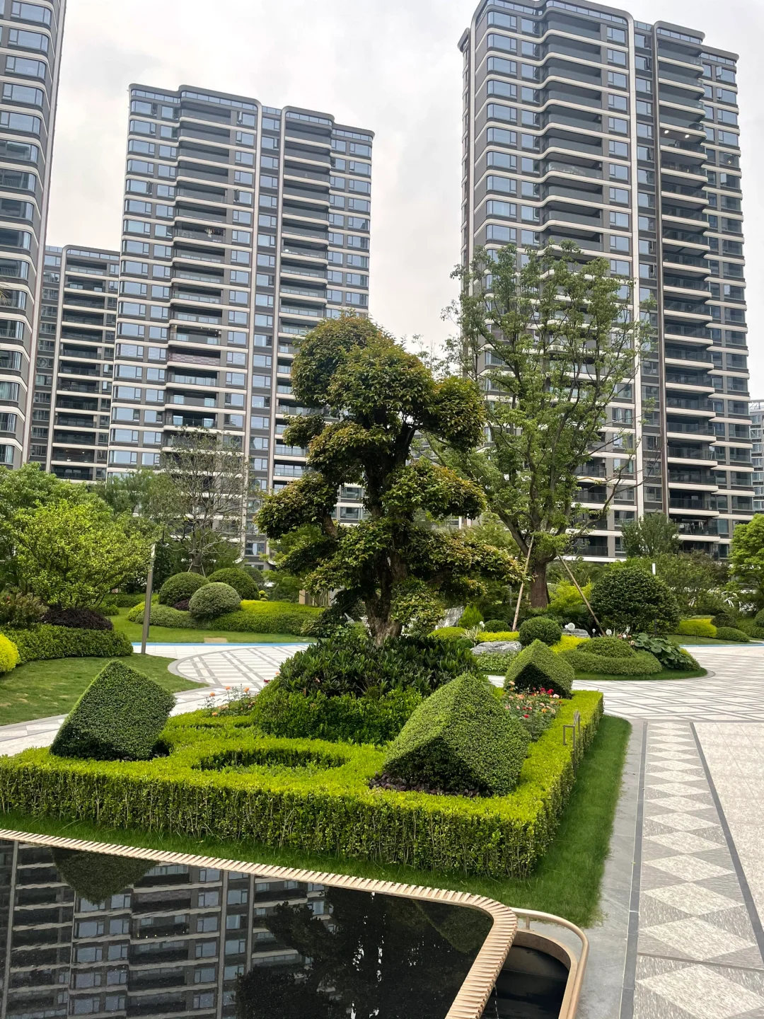 滨江的园林太顶了 （滨萃悦府）