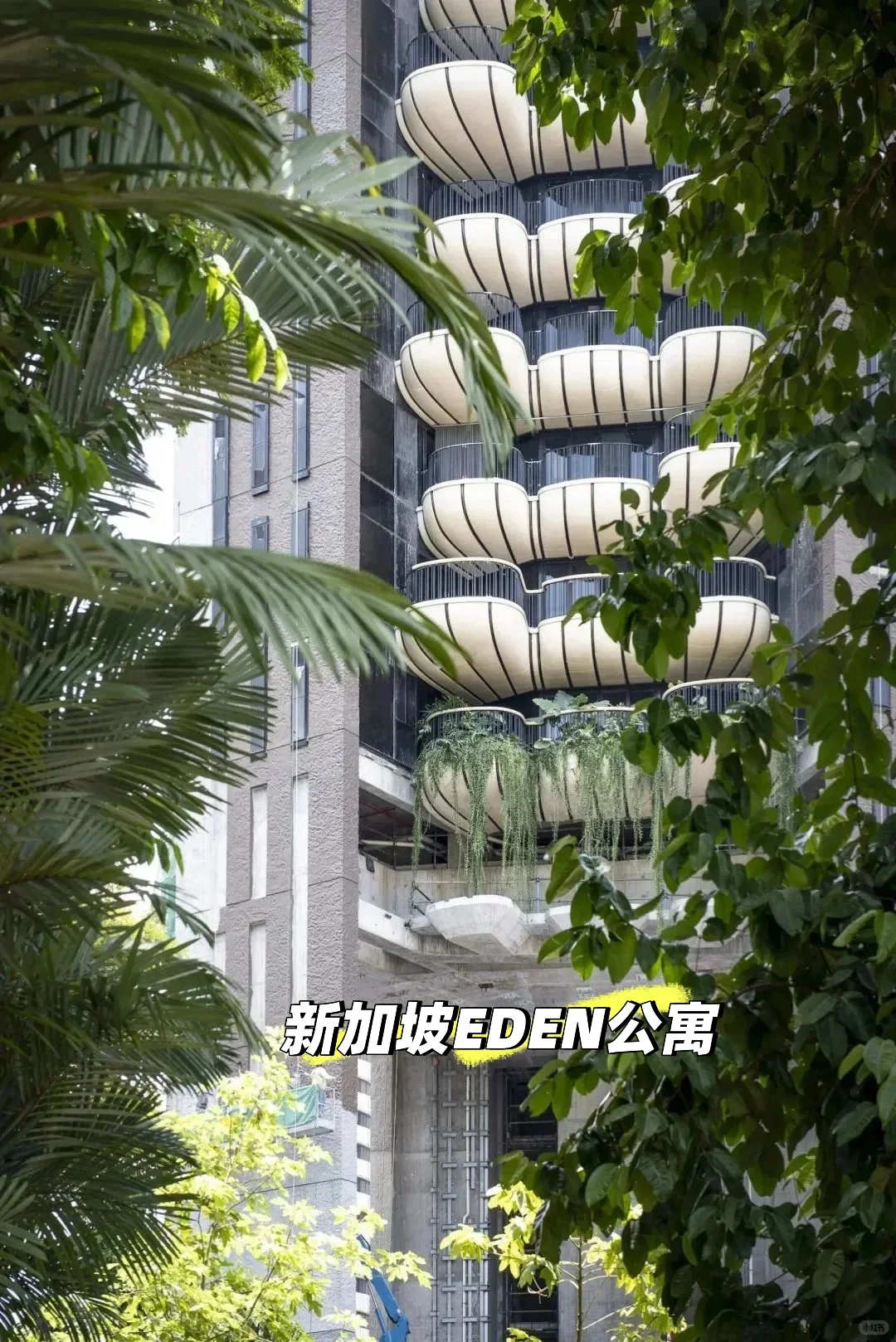 成都豪宅vs 新加坡EDEN公寓