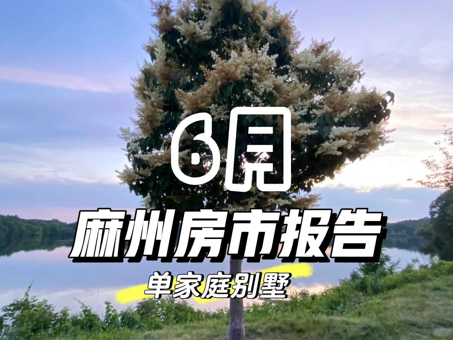 6月麻州房市报告-单家庭别墅