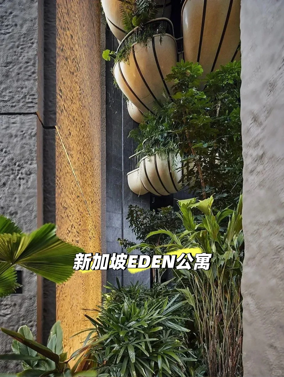 成都豪宅vs 新加坡EDEN公寓