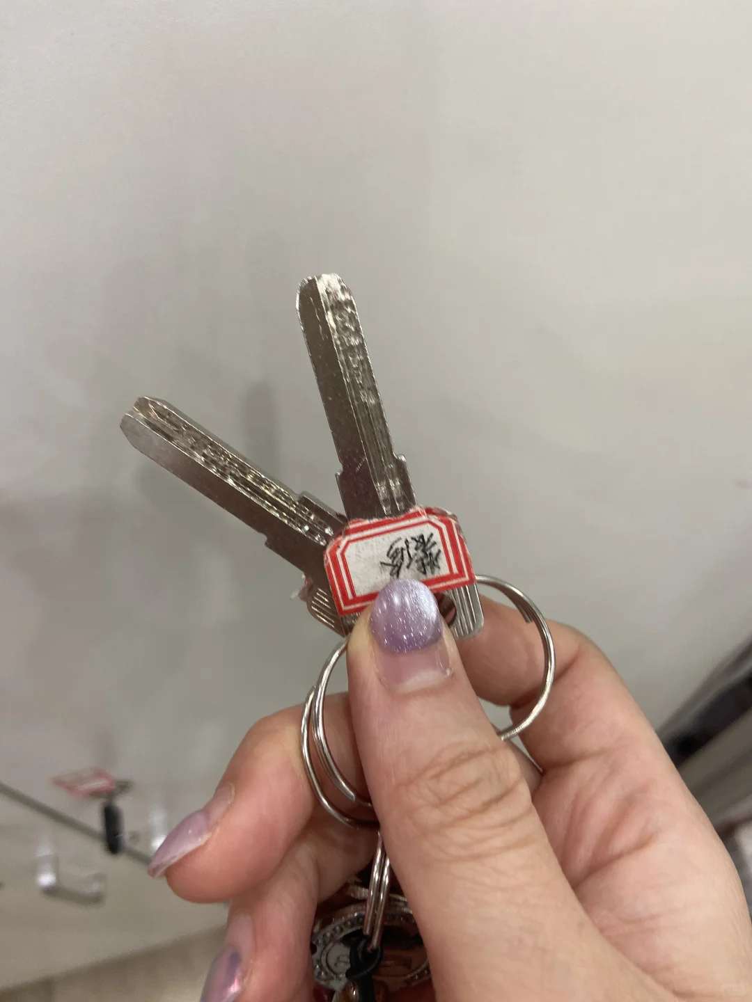 我的法拍房日记8