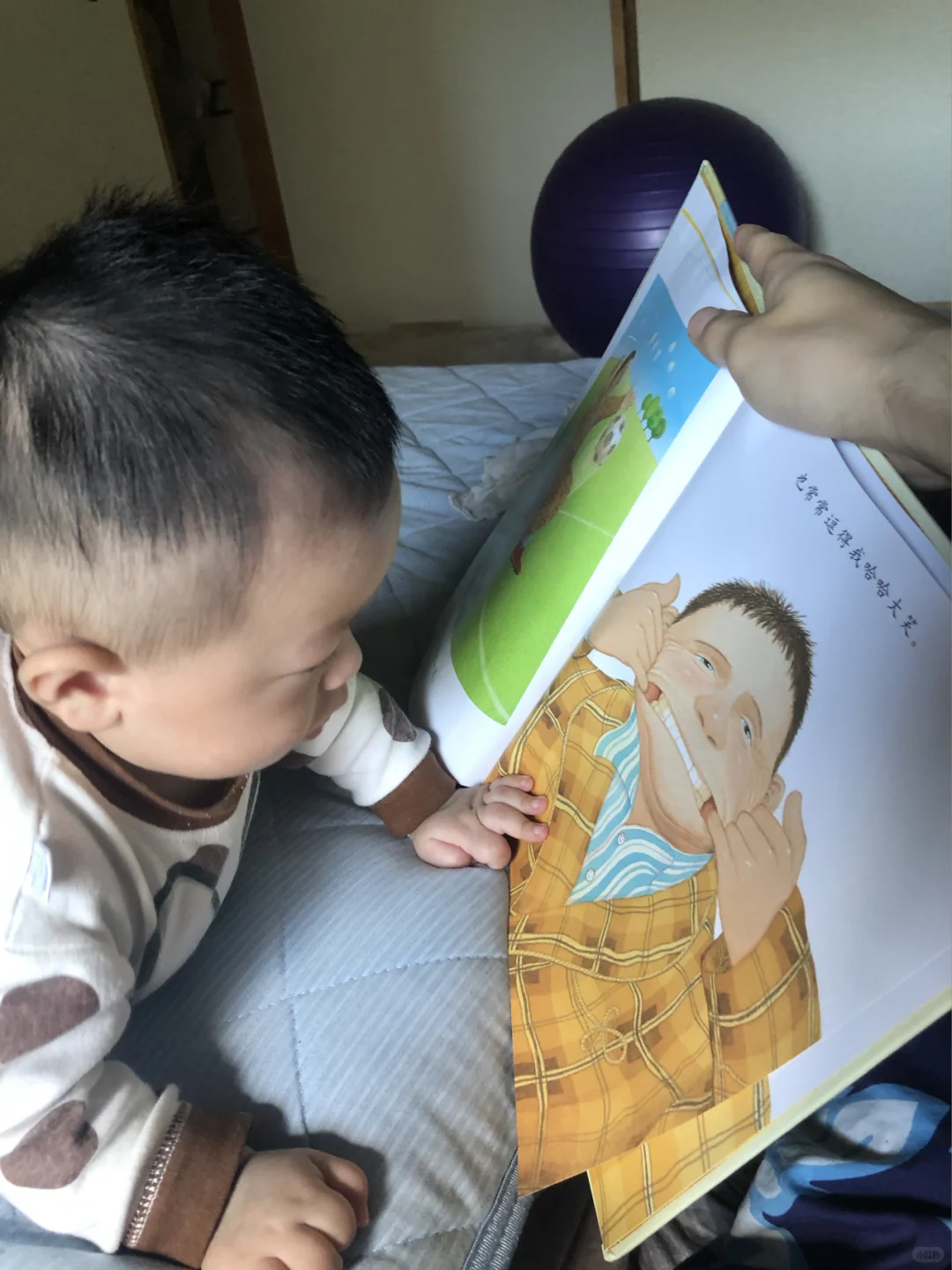 关于日本的政府福利住房
