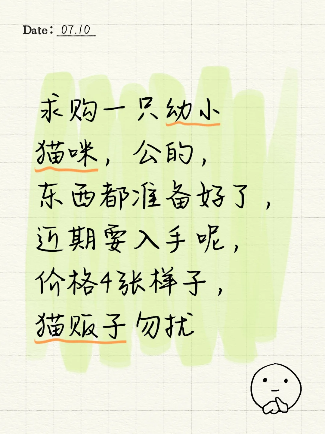 求购一只小公猫