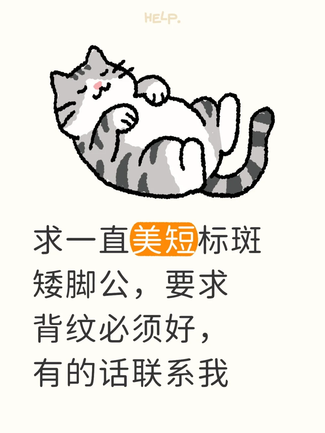 求购美短标斑矮脚