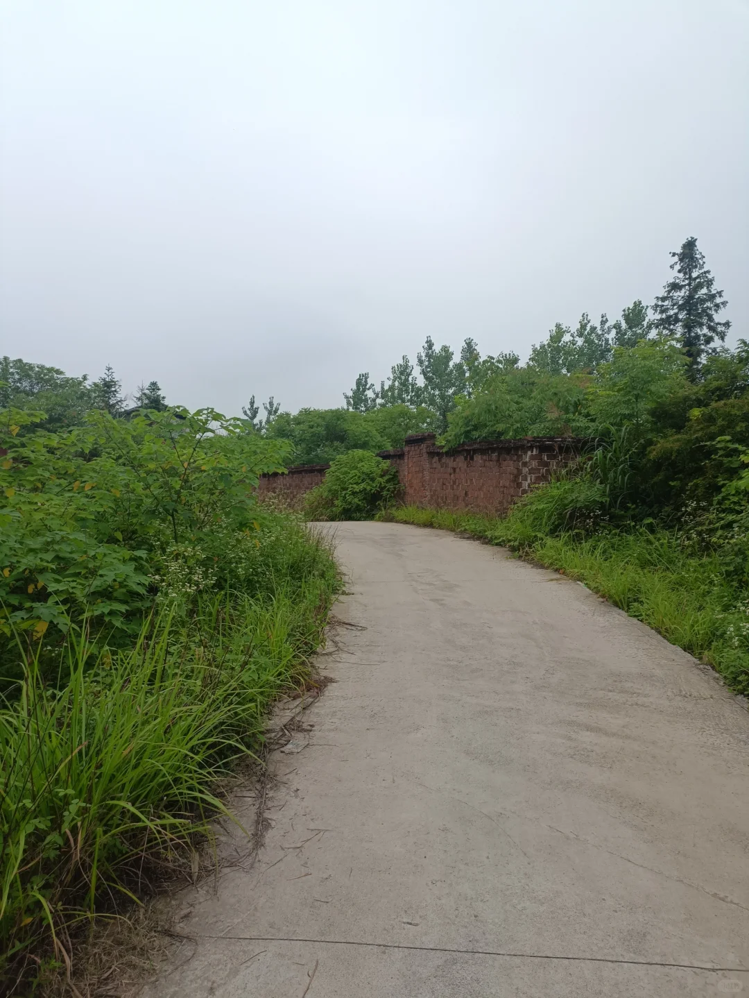 一家挤在不到40平教师公寓，自己房子却出租