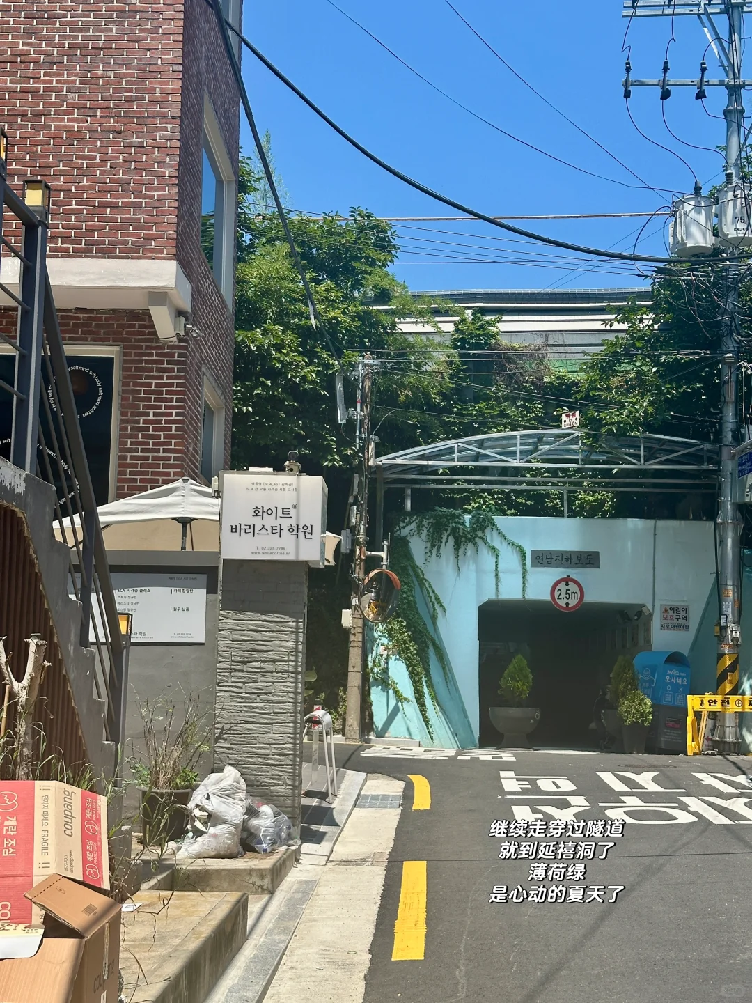 延南延禧洞|庭院式独栋商圈，和奶油白的温柔
