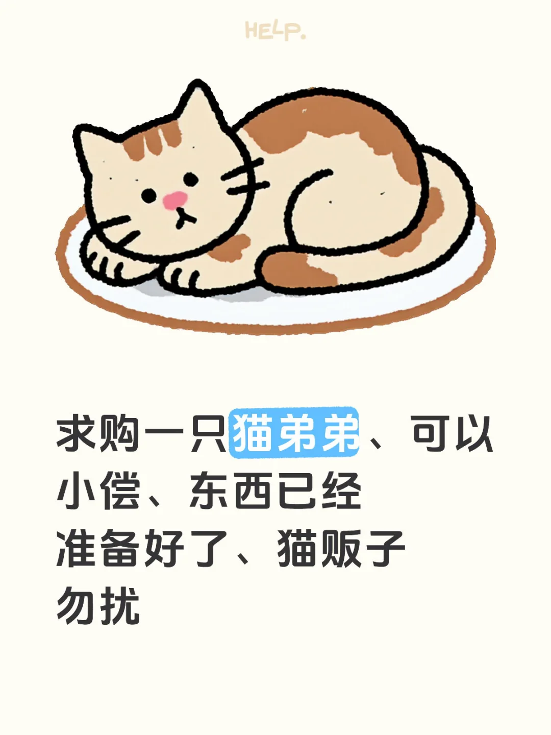 求购一只公猫