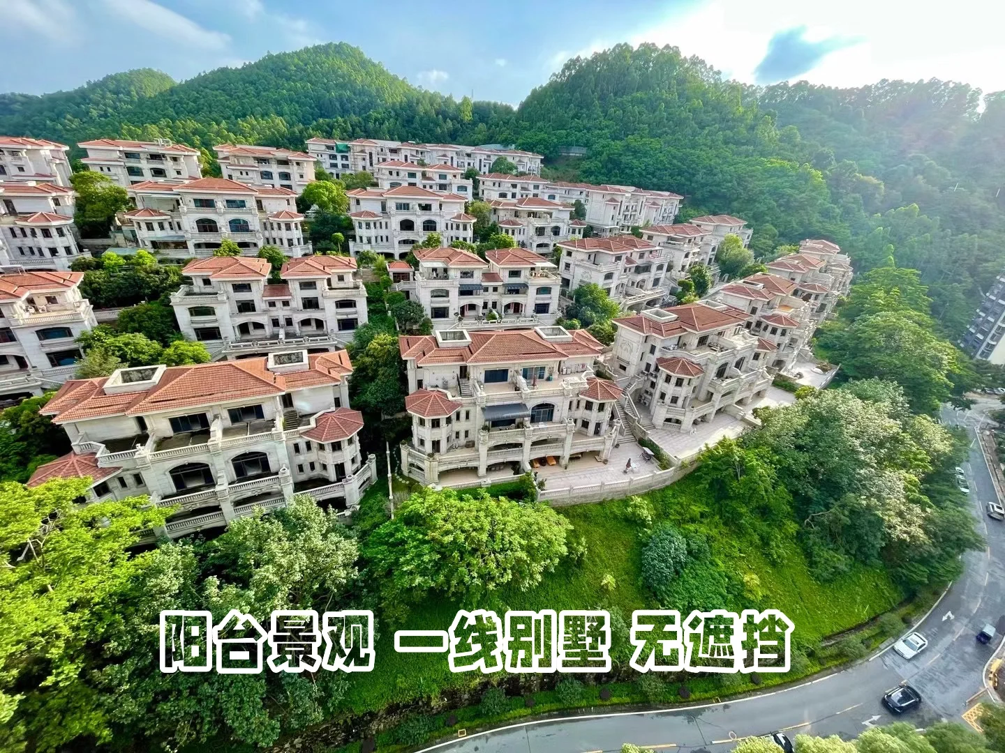 业主直售，新塘碧桂园凤锦苑大三房