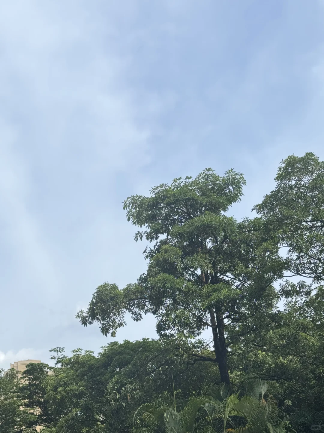 惠州买房｜再穷也不要去碰这些小区