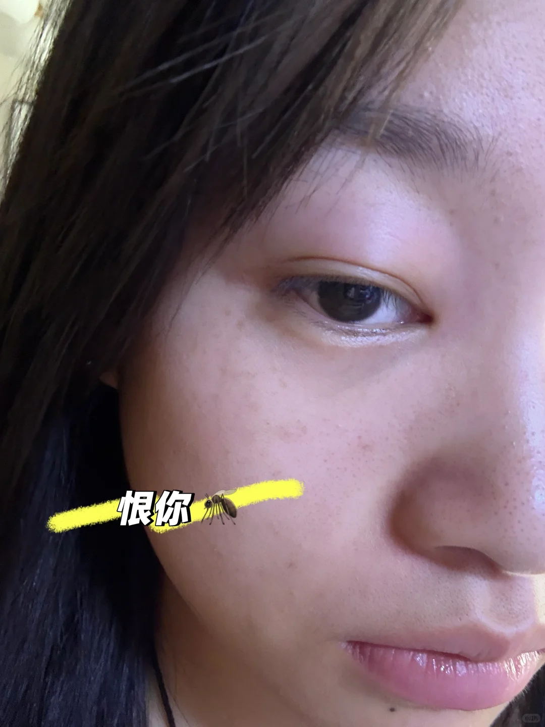 又来。。。租房我恨你