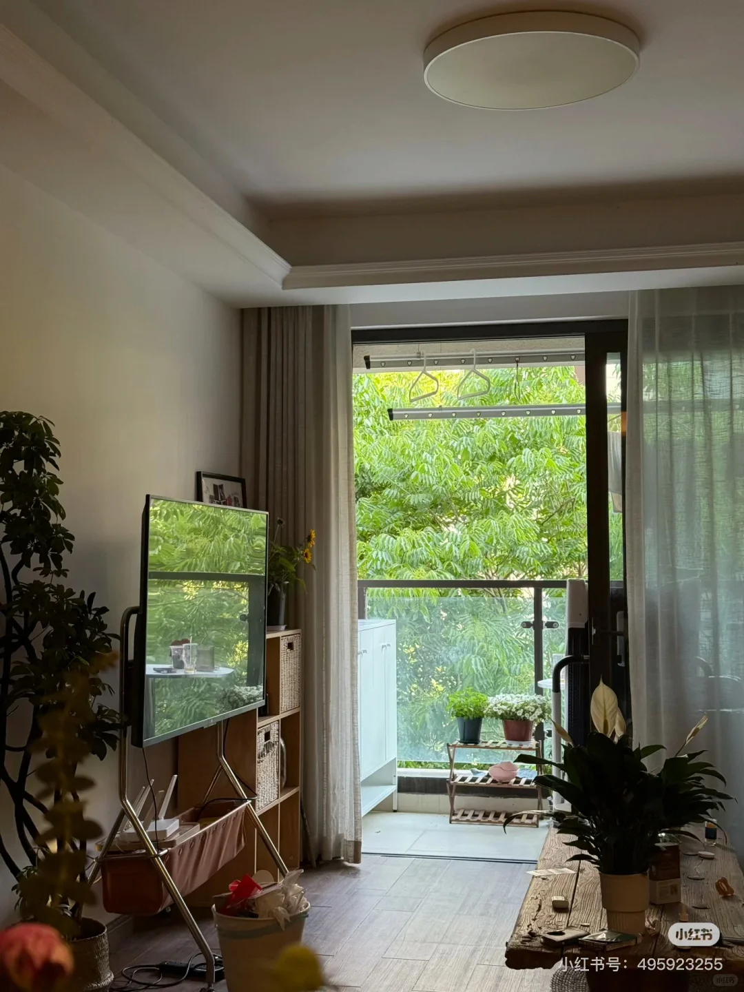 求杭州树景房或者木地板房子🏠