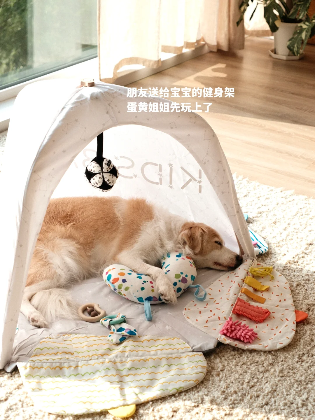 装修最不后悔的就是封了这阳台！安了这扇窗！