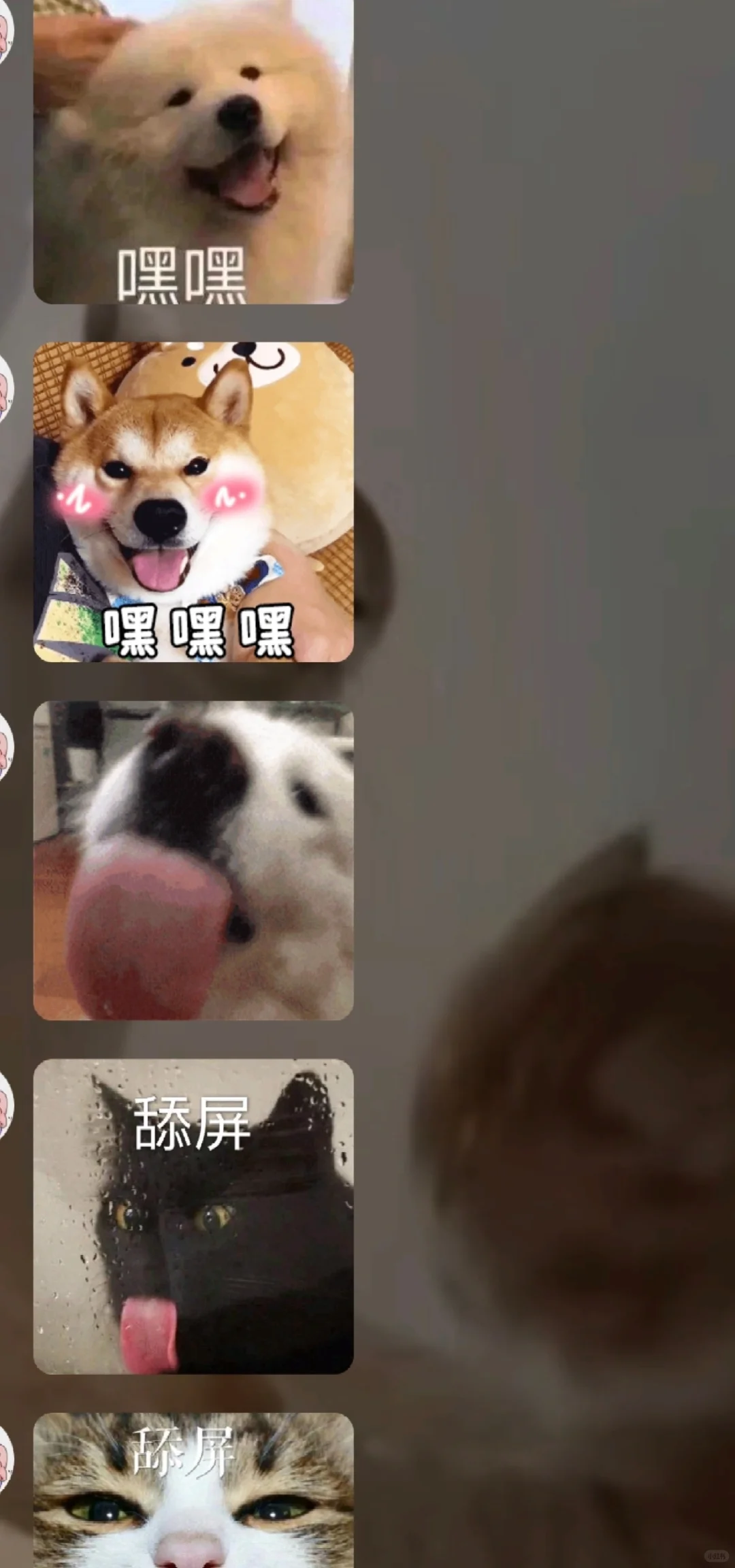 调情小tip之身体乳