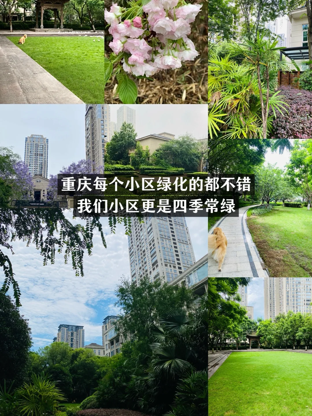 家人们，🏠这算是🩸跌吗？