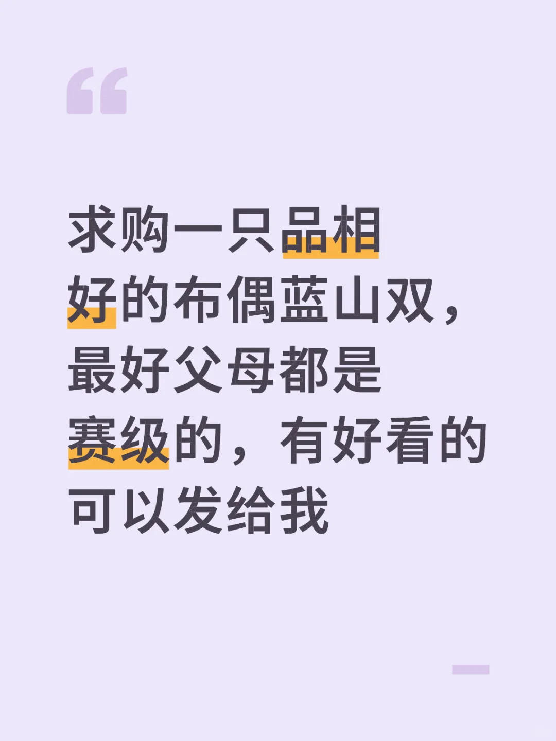 🇺🇸求购蓝山双布偶 品相好的