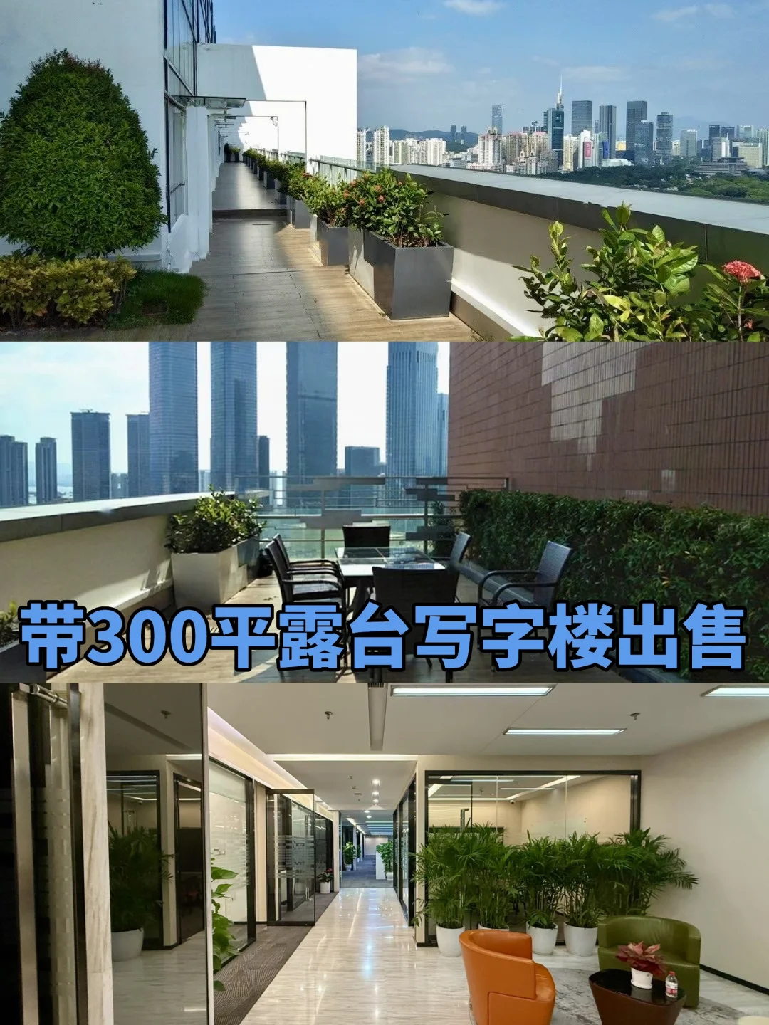 福田写字楼出售，带300平露台花园