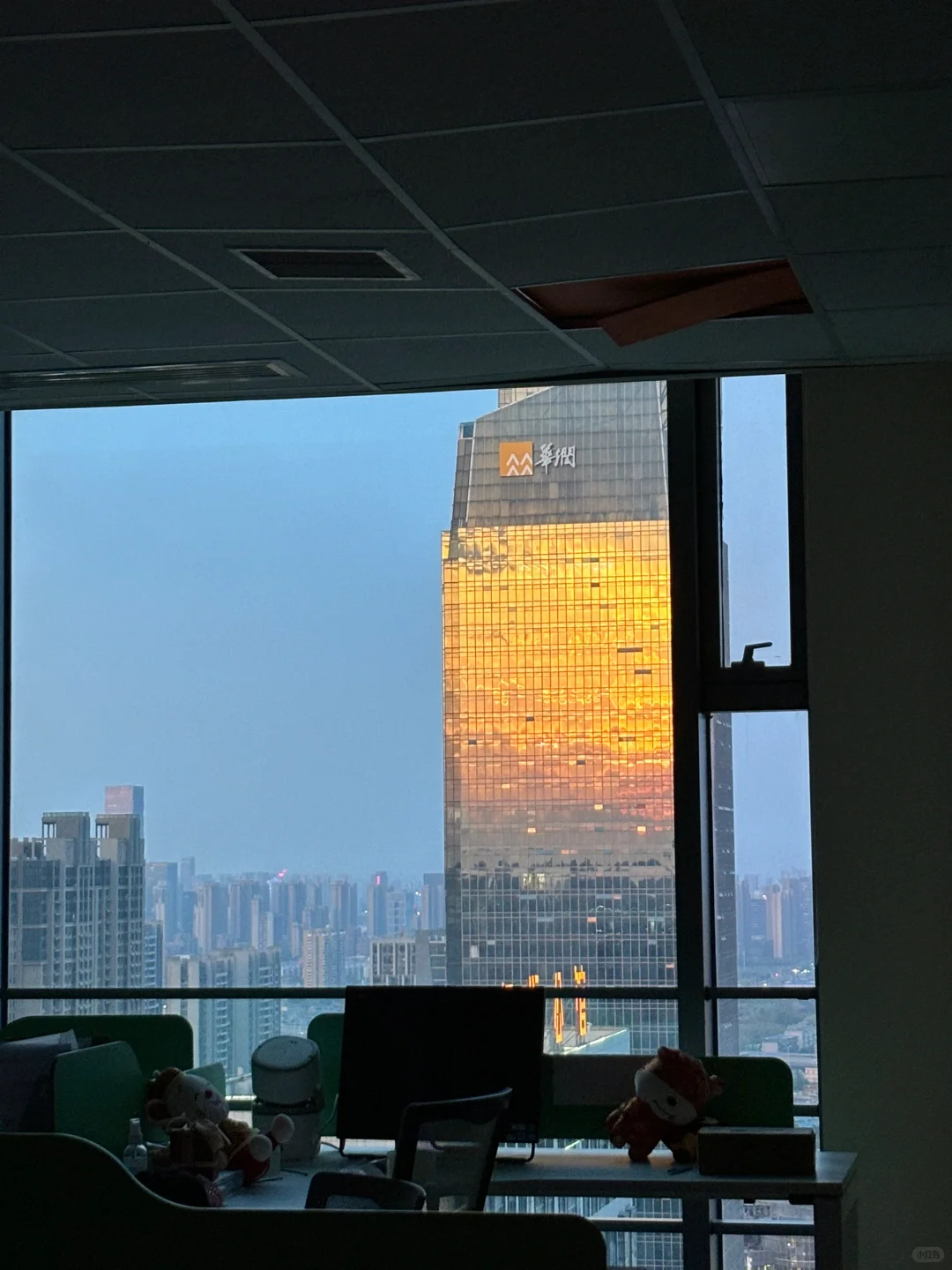 打工人版日照写字楼🌆