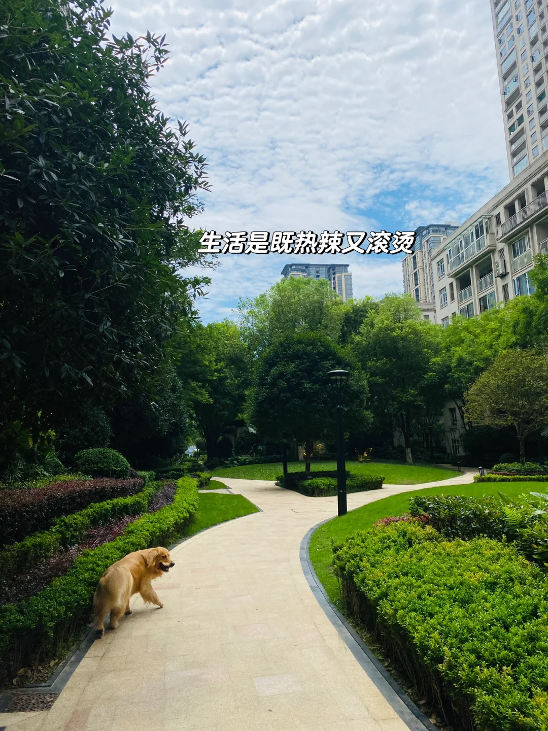 家人们，🏠这算是🩸跌吗？