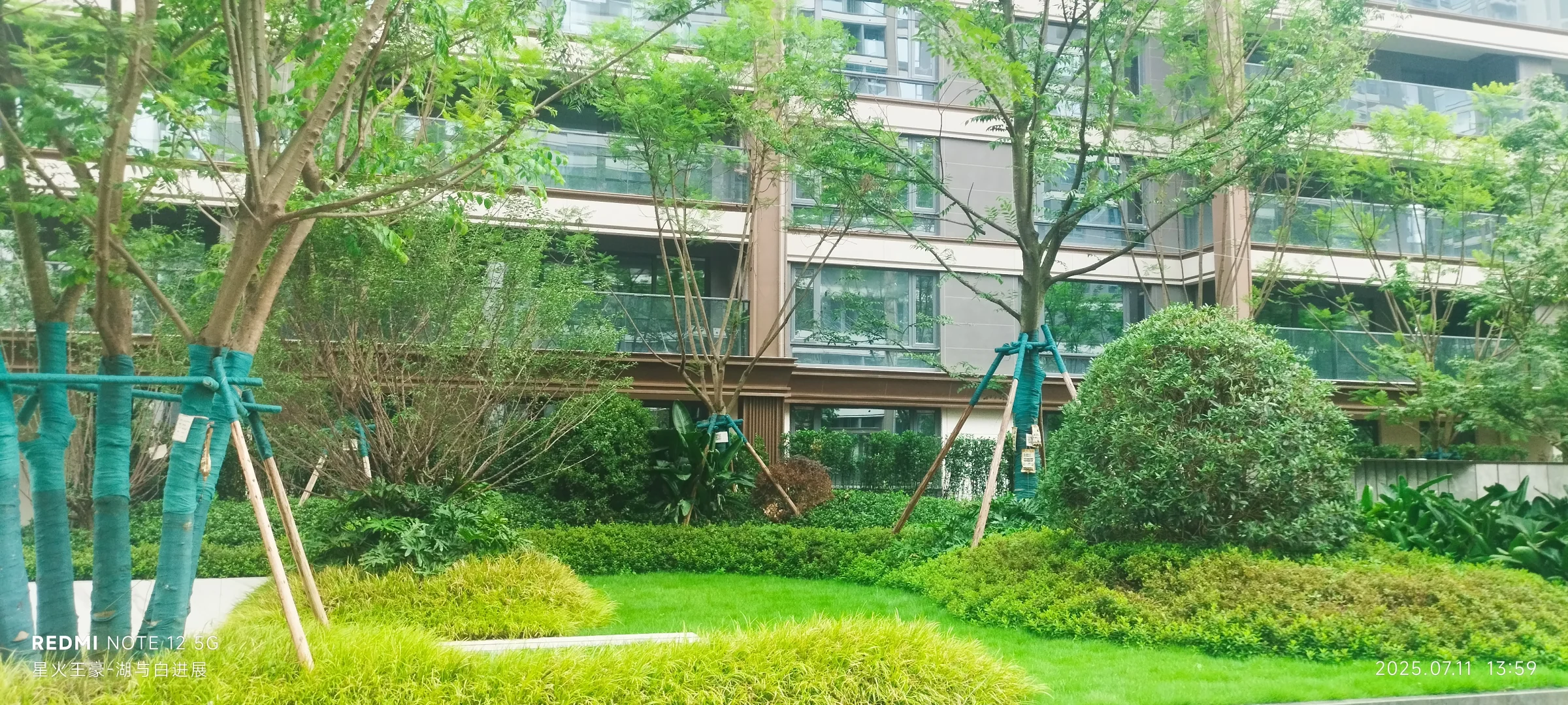 越秀湖与白开发商出来！