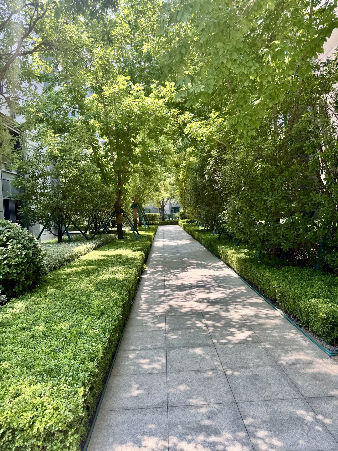 在淄博，表弟买房为啥选择了这里