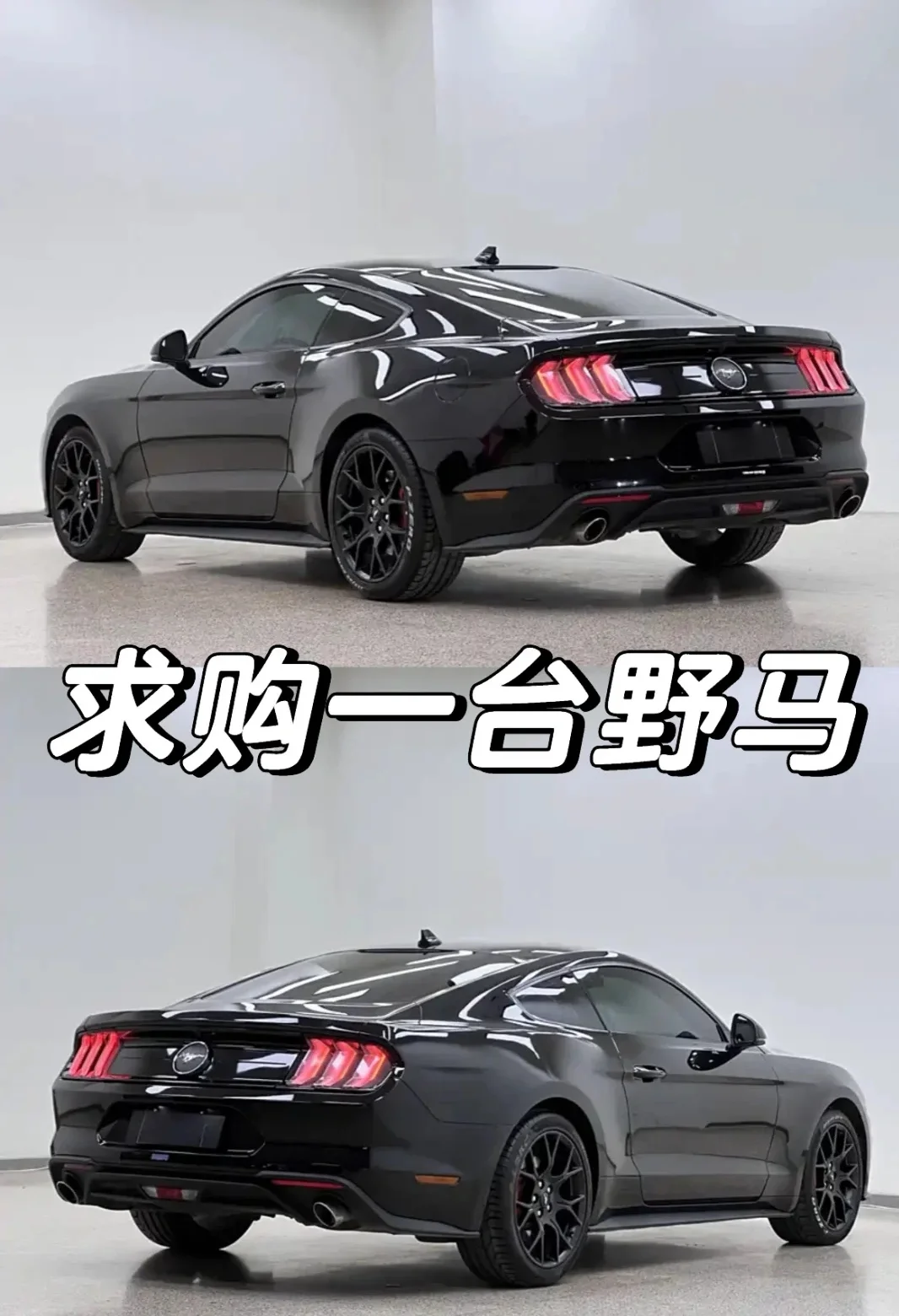 求购个人野马 坐标天津