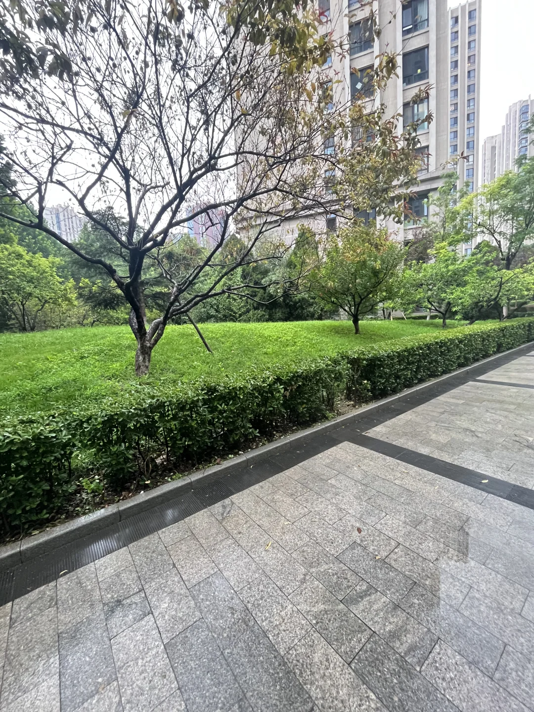 住在这样小区需要注意什么？