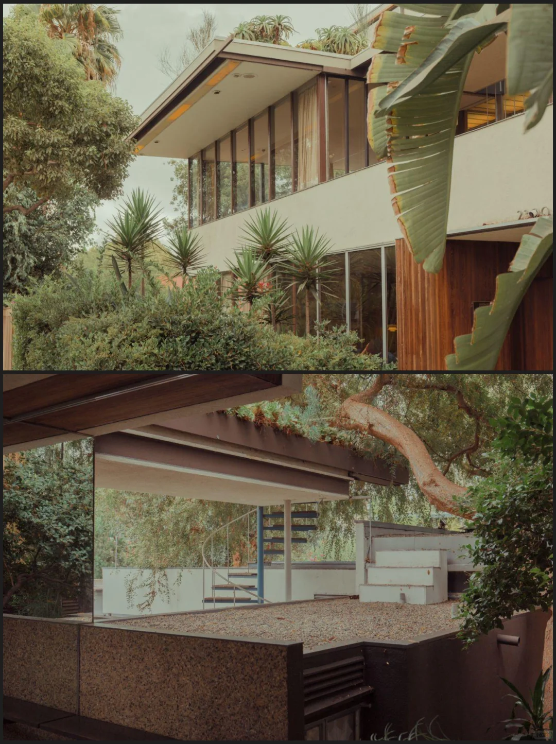经典住宅72-Neutra VDL 住宅