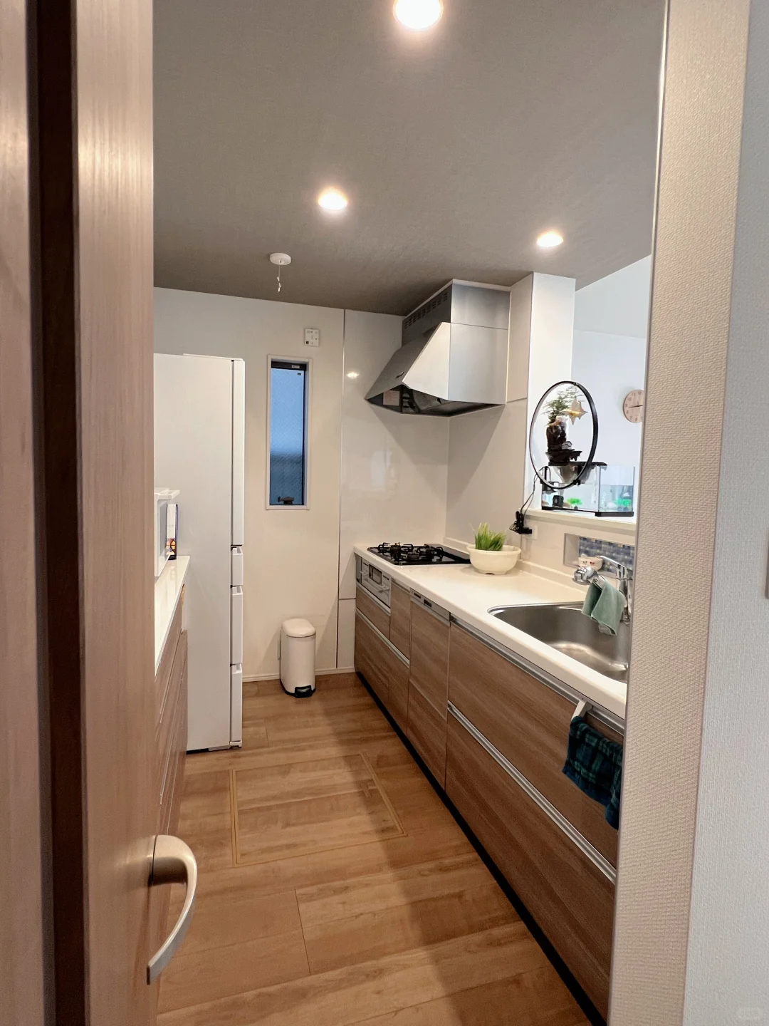 🇯🇵一户建一纠结一户建和マンション的看这篇