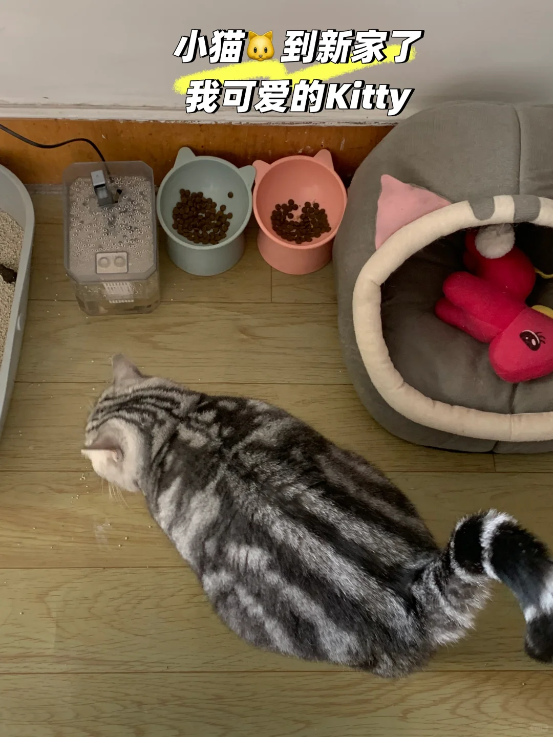 2.5W全款买房🏠🤏🏻‼我的26岁‼️‼️‼️