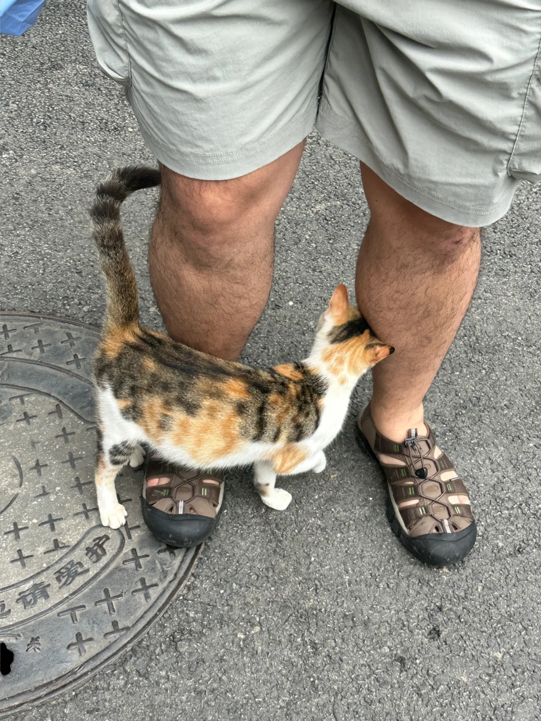 媚眼抛给瞎子看？