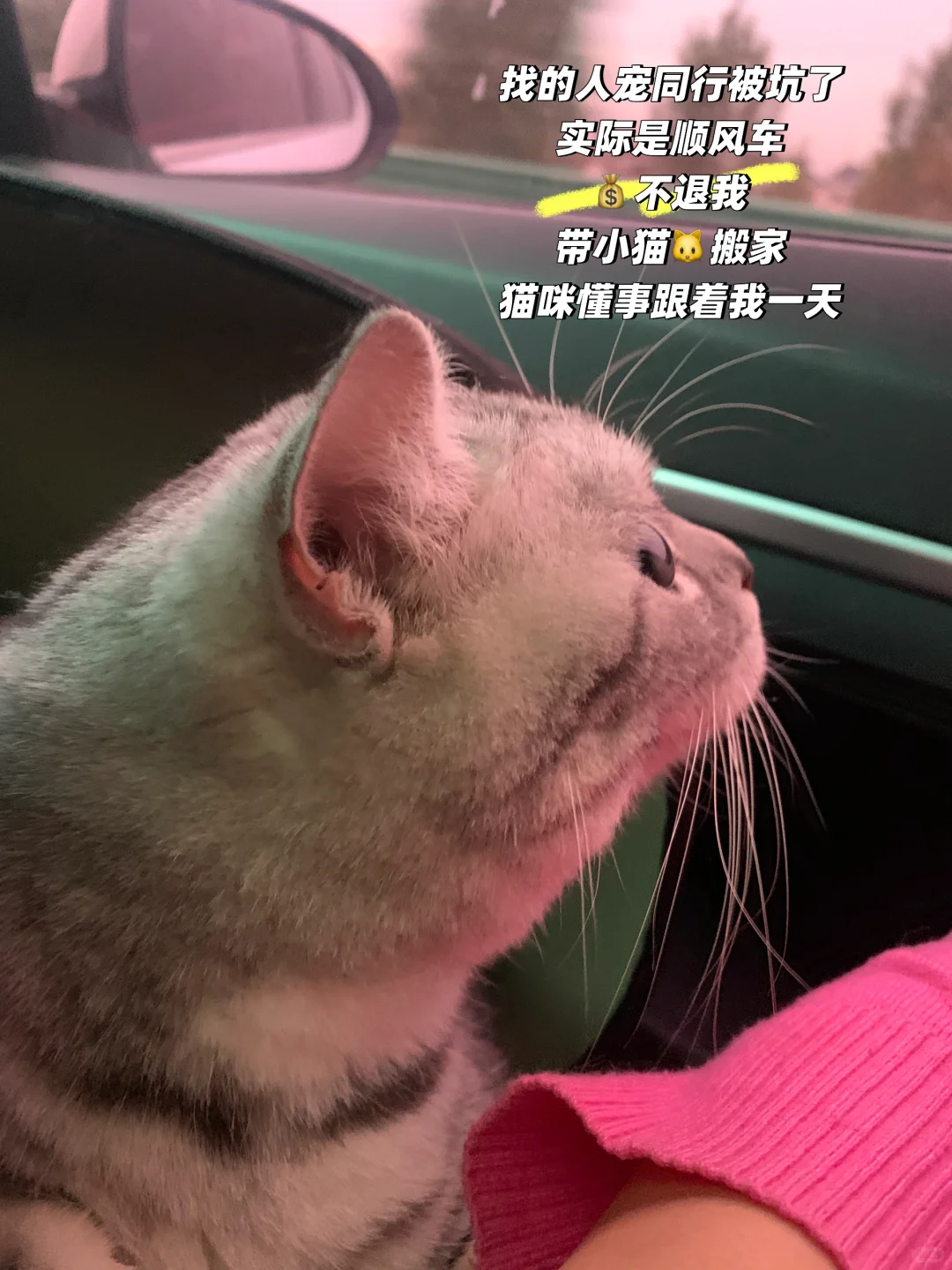2.5W全款买房🏠🤏🏻‼我的26岁‼️‼️‼️