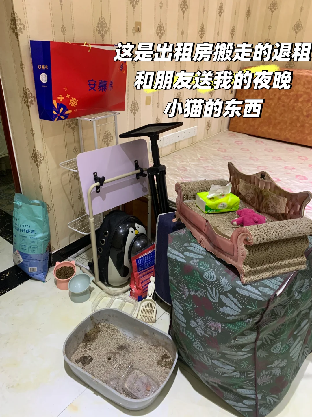 2.5W全款买房🏠🤏🏻‼我的26岁‼️‼️‼️