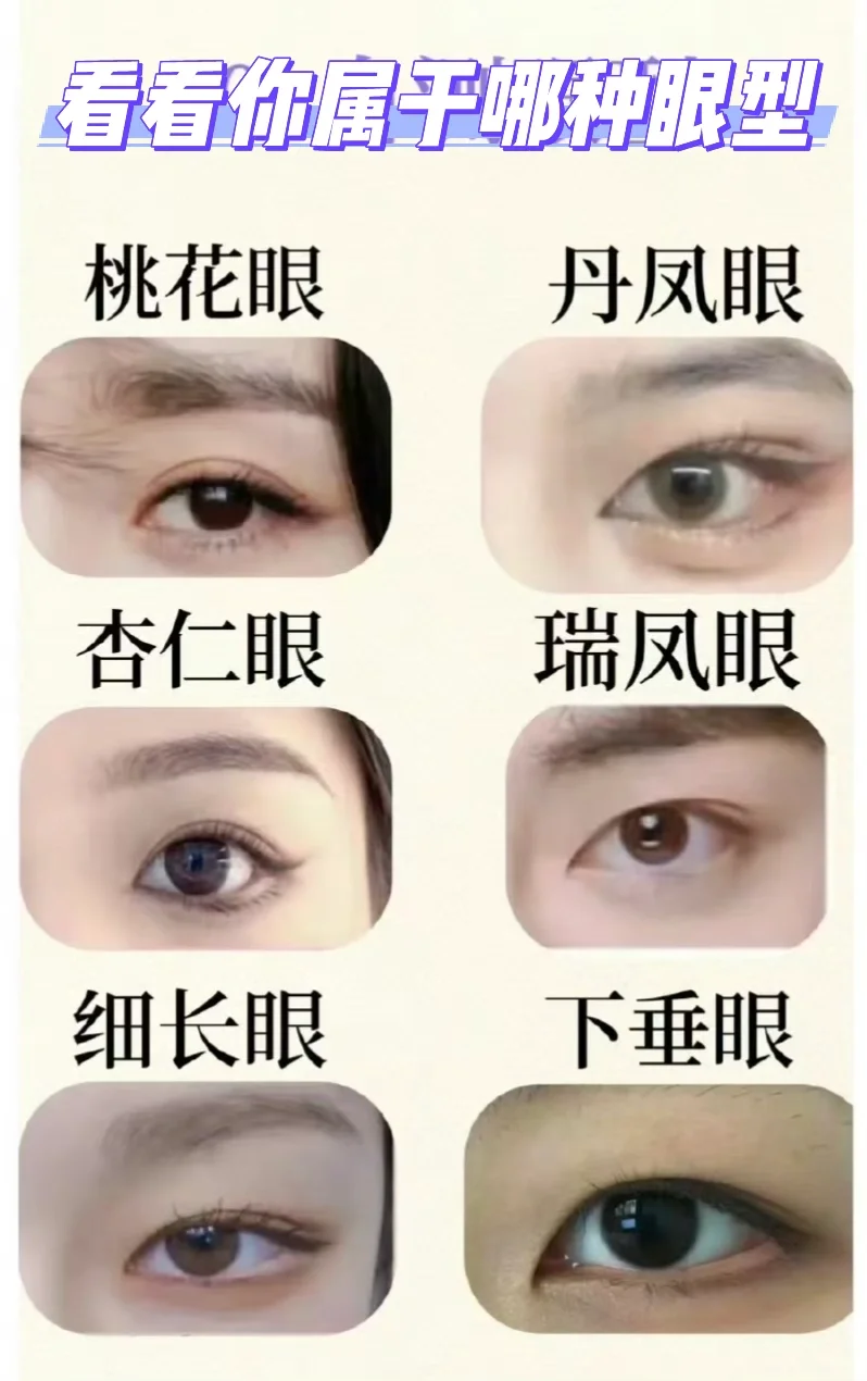 看看你属于哪种眼型