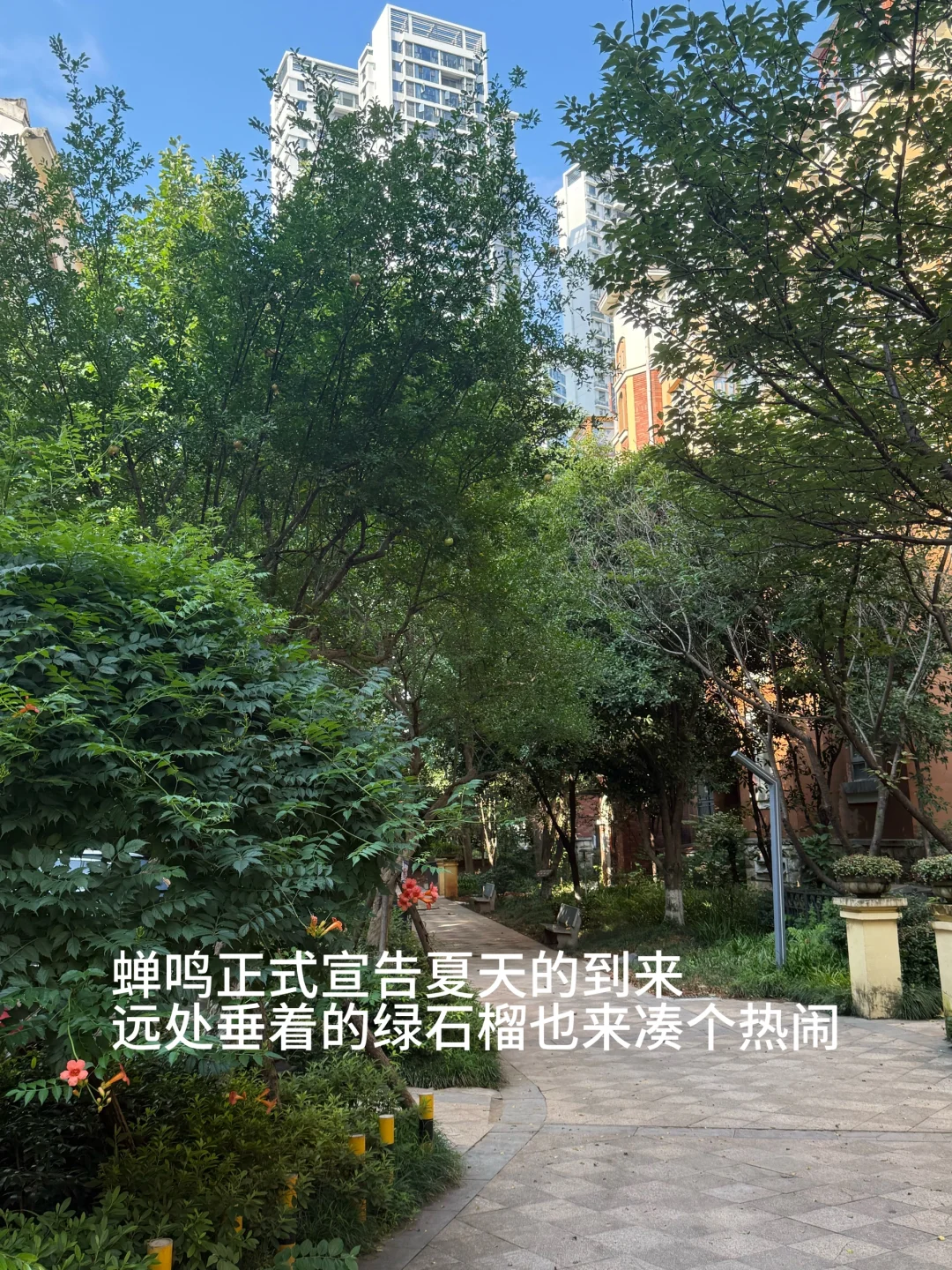 感谢长沙房价让27岁的我住进了“公园”里