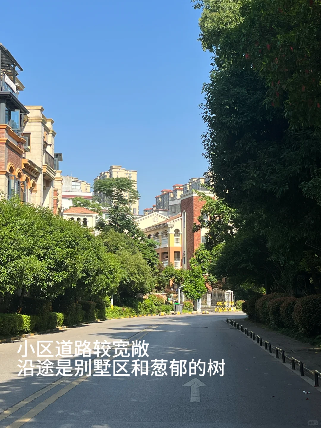 感谢长沙房价让27岁的我住进了“公园”里