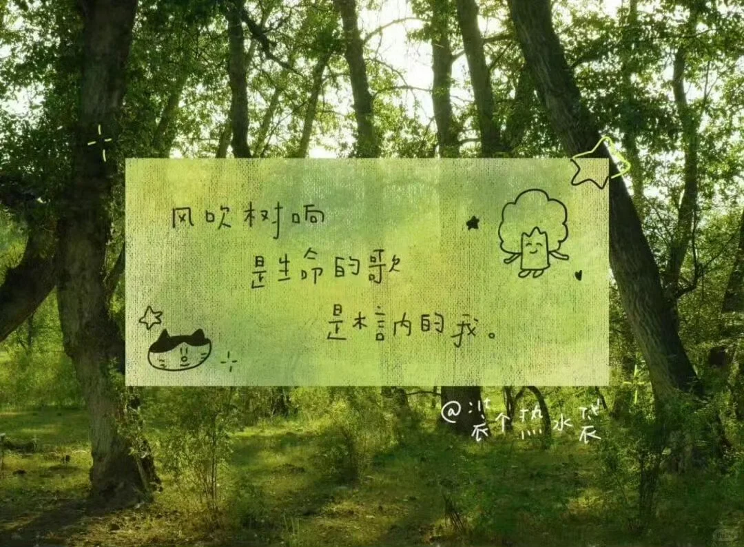 share｜春和景明💚ipad电脑壁纸分享