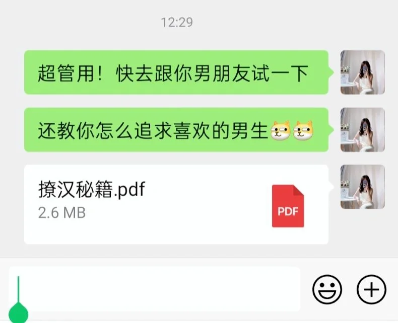 5.10撩汉秘籍pdf