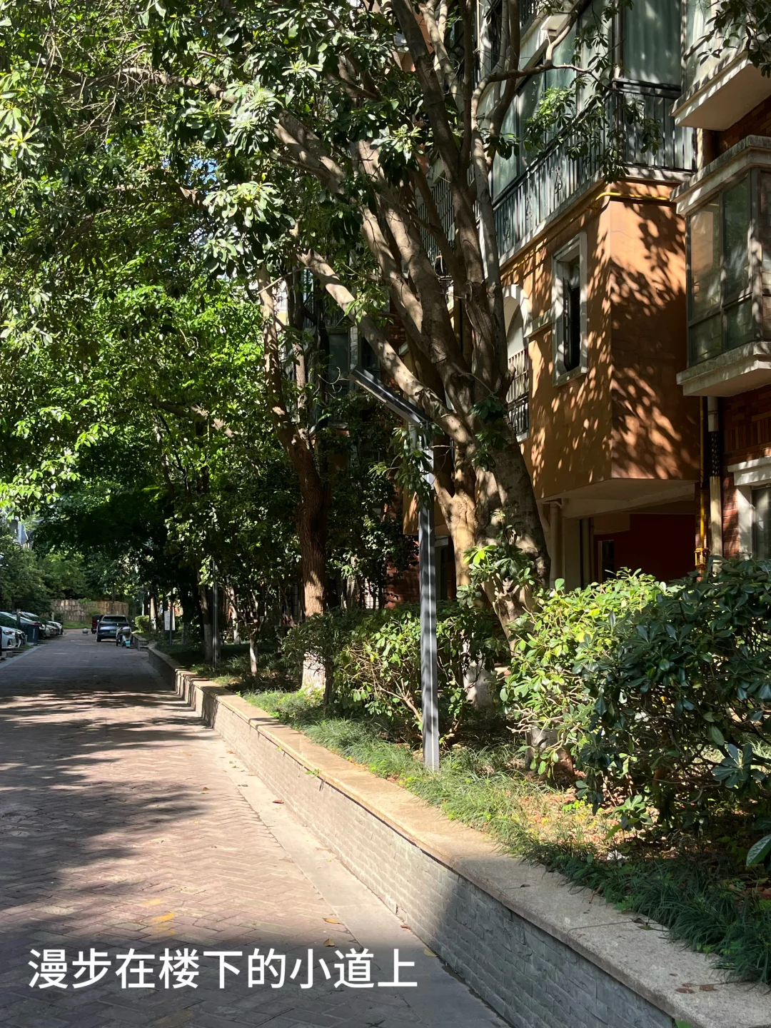 感谢长沙房价让27岁的我住进了“公园”里