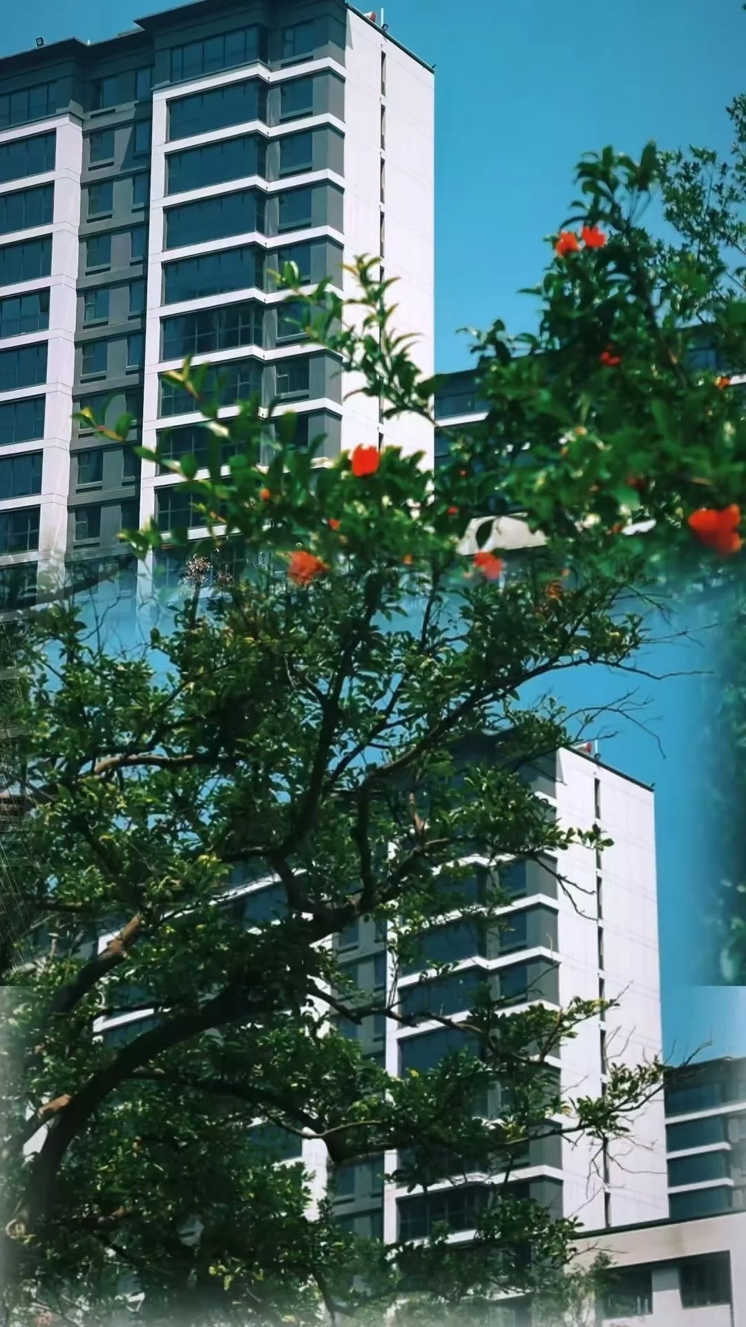 洋房二楼能不能买？看完这篇不纠结🏠