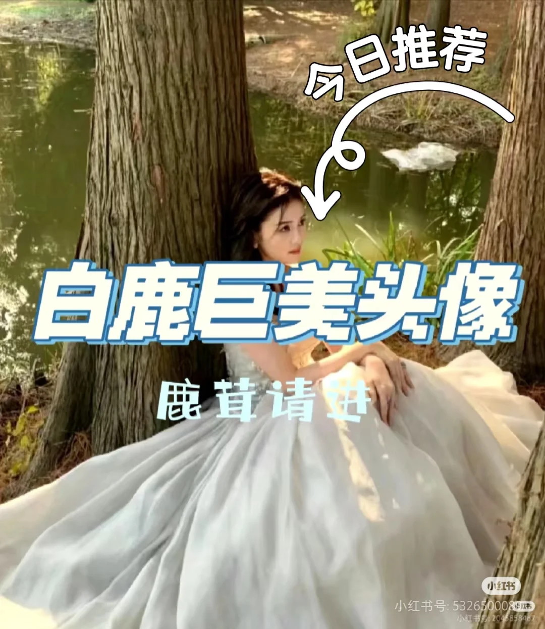 白鹿同款美图，轻松get女神范儿！