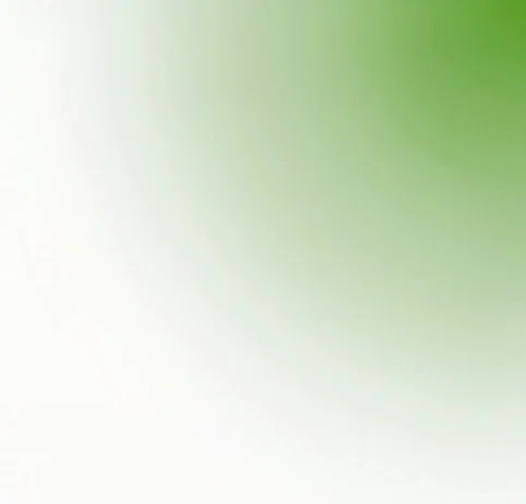 猫动画壁纸