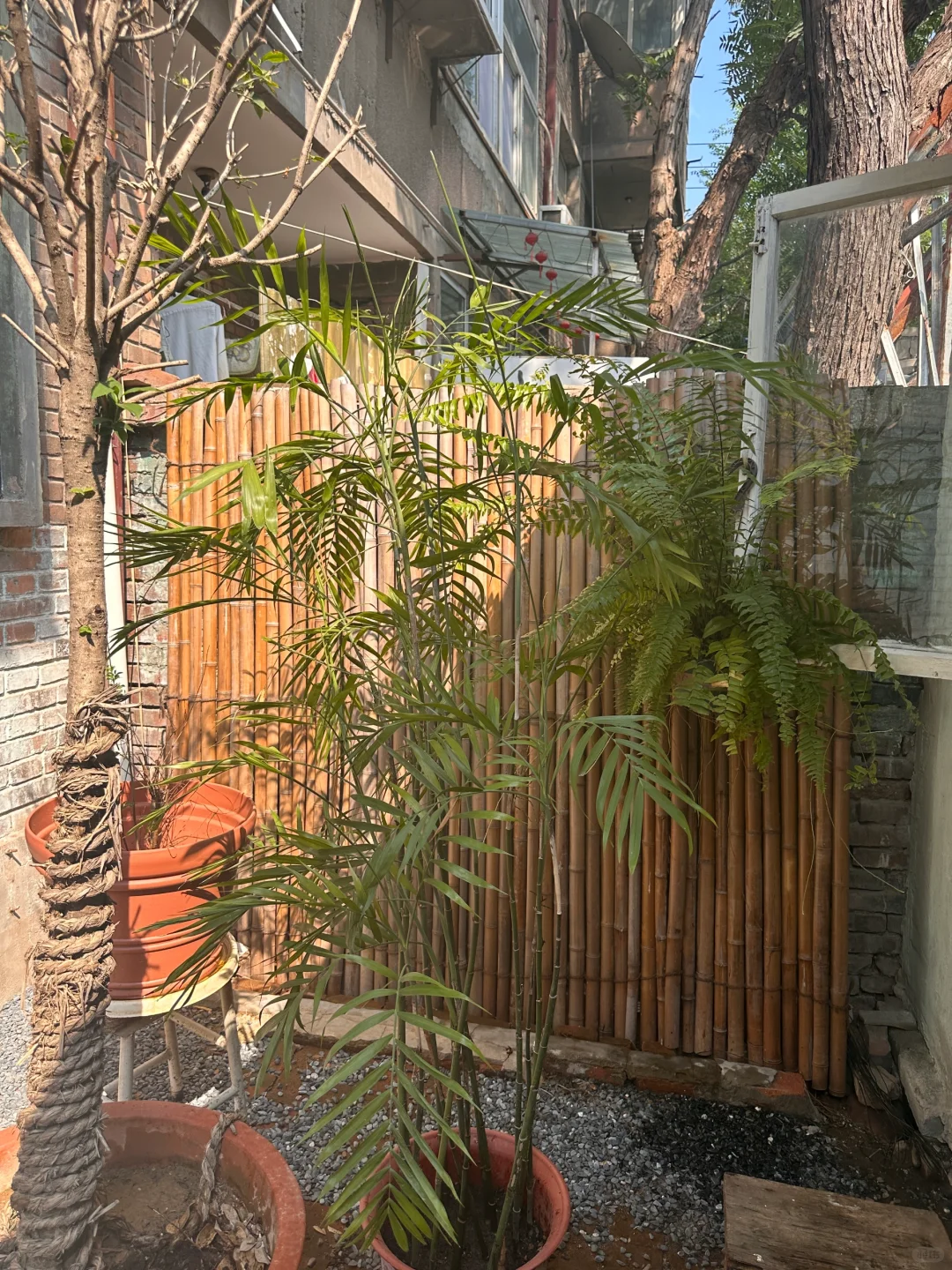 邯郸一楼带院之小院细节