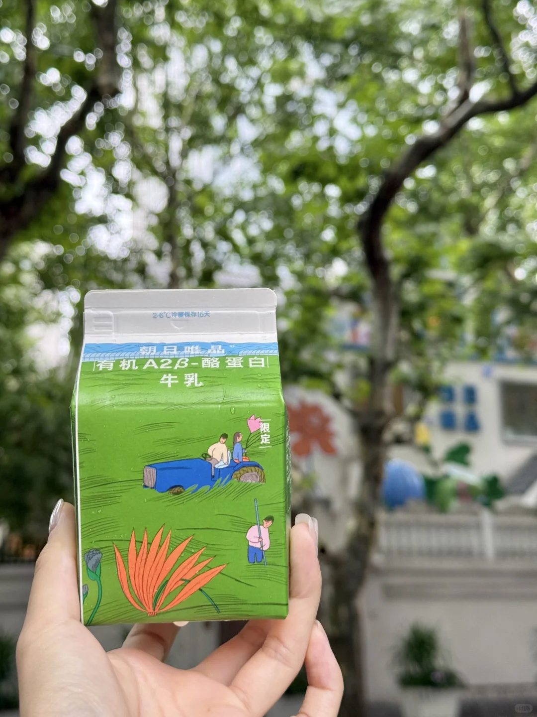 在安福路植物系洋房🌿被初夏的绿意包裹