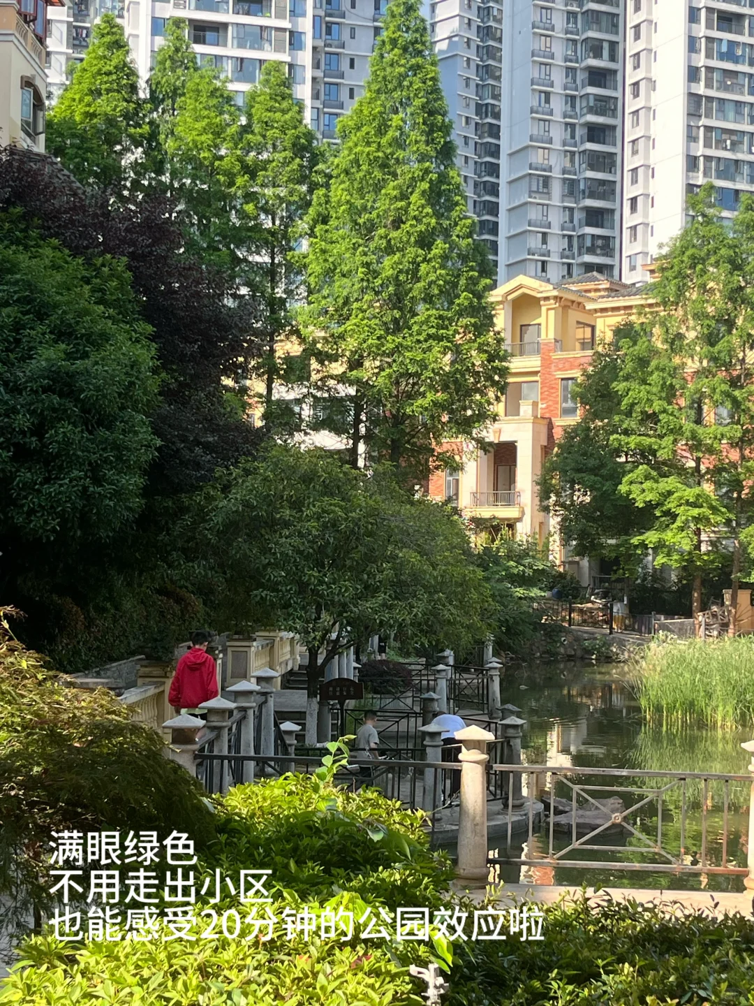 感谢长沙房价让27岁的我住进了“公园”里