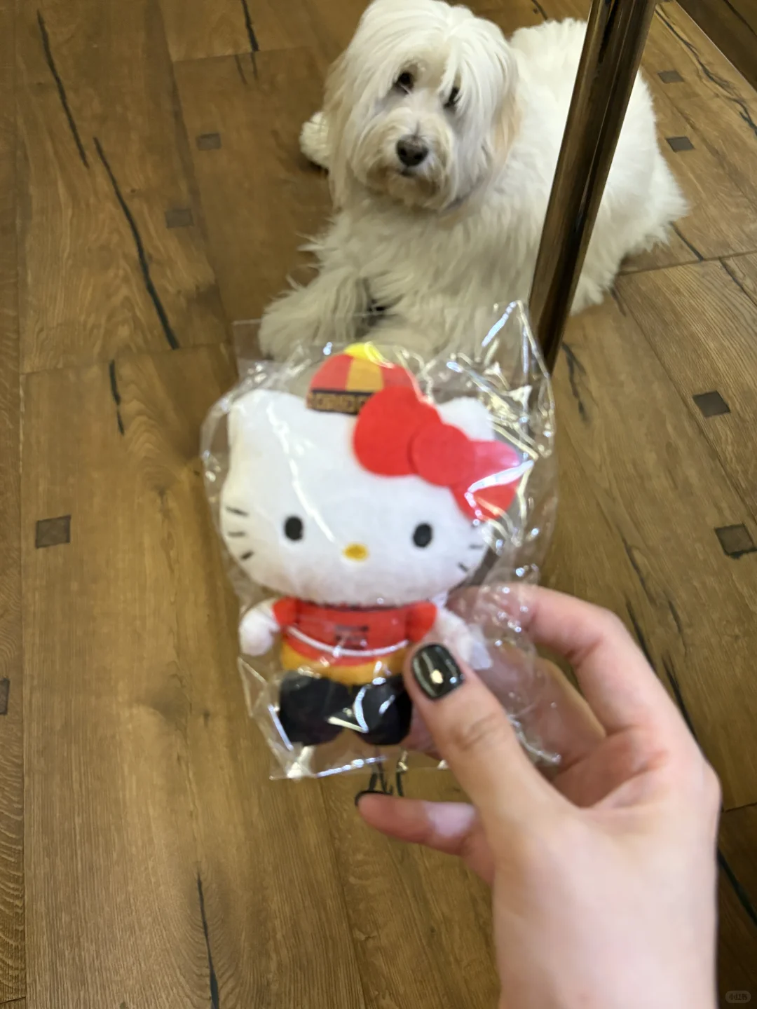 中女是一种直觉 🥢
