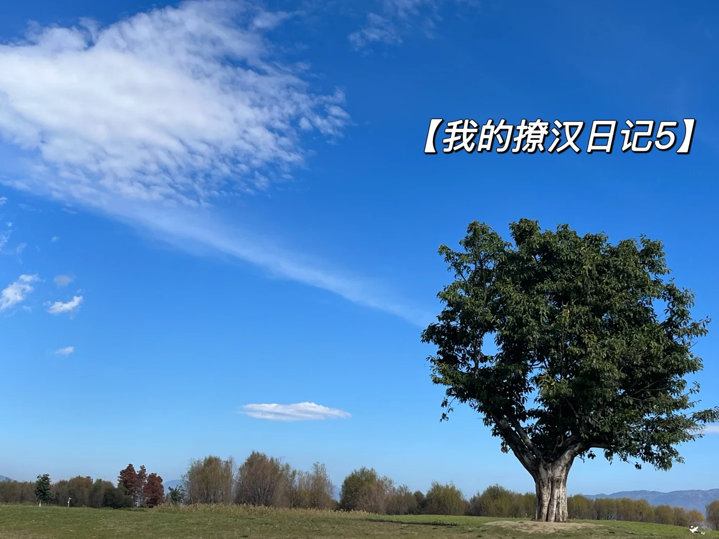 我的撩汉日记（5）——失而复得的crush
